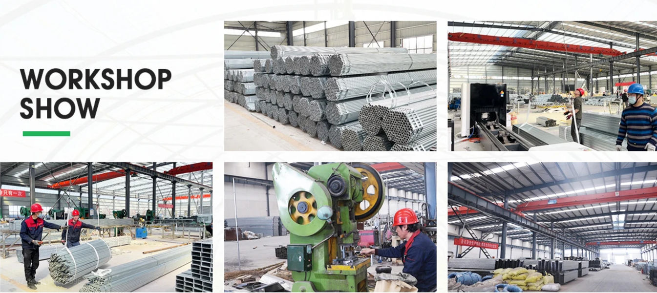 Shandong Lisent Agricultural Technology Co., Ltd. ligne de production du fabricant